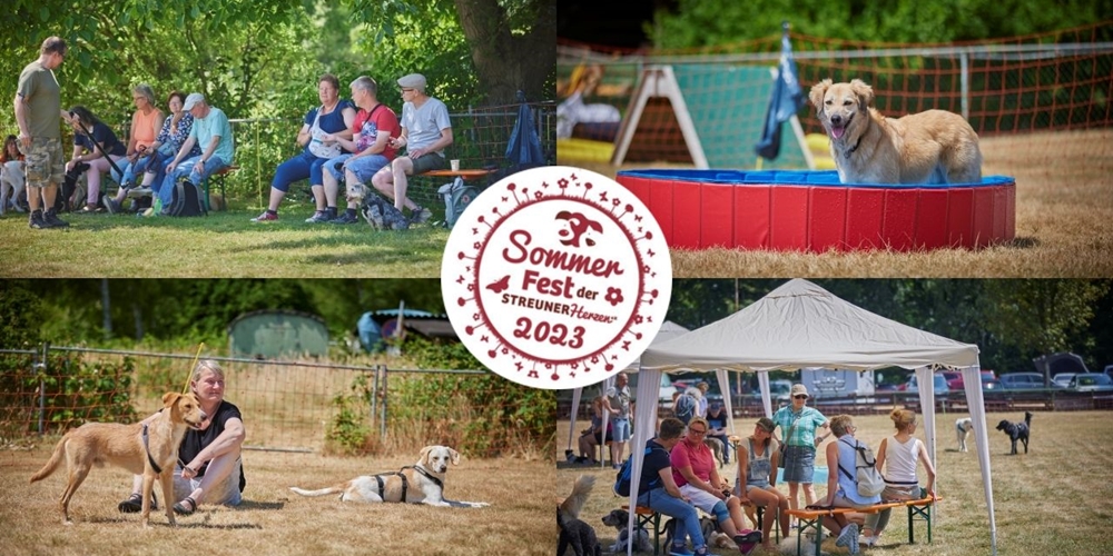 Rückblick Sommerfest 2023