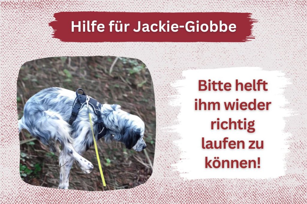 Jackie Giobbe – Gemeinsam gegen die Schmerzen!