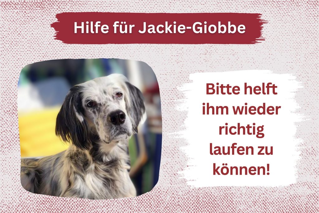 Jackie Giobbe – Gemeinsam gegen die Schmerzen!