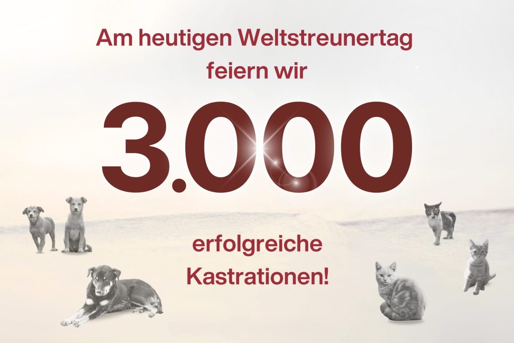Meilenstein – 3.000 Kastrationen