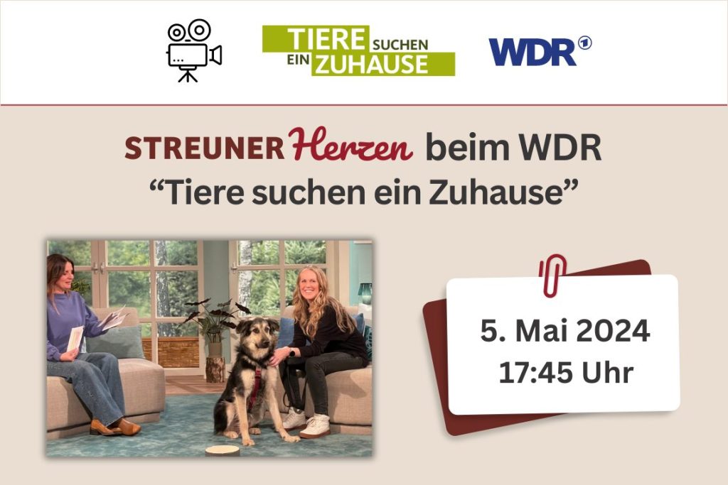 STREUNERHerzen beim WDR “Tiere suchen ein Zuhause”