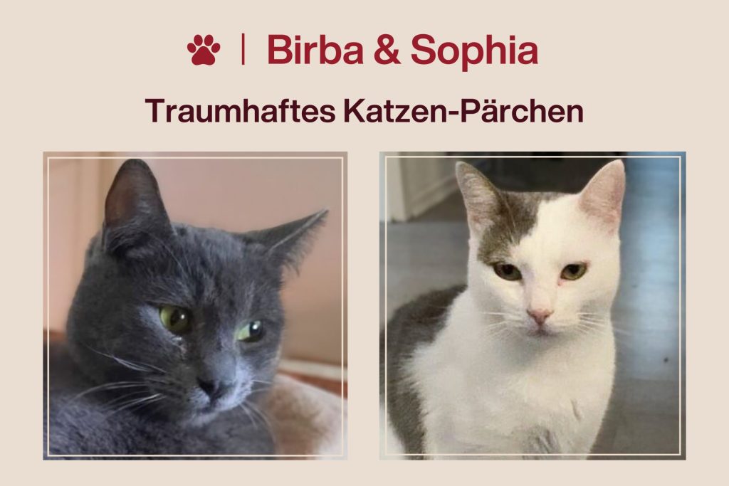 Birba & Sophia – Sie wünschen sich endlich anzukommen!