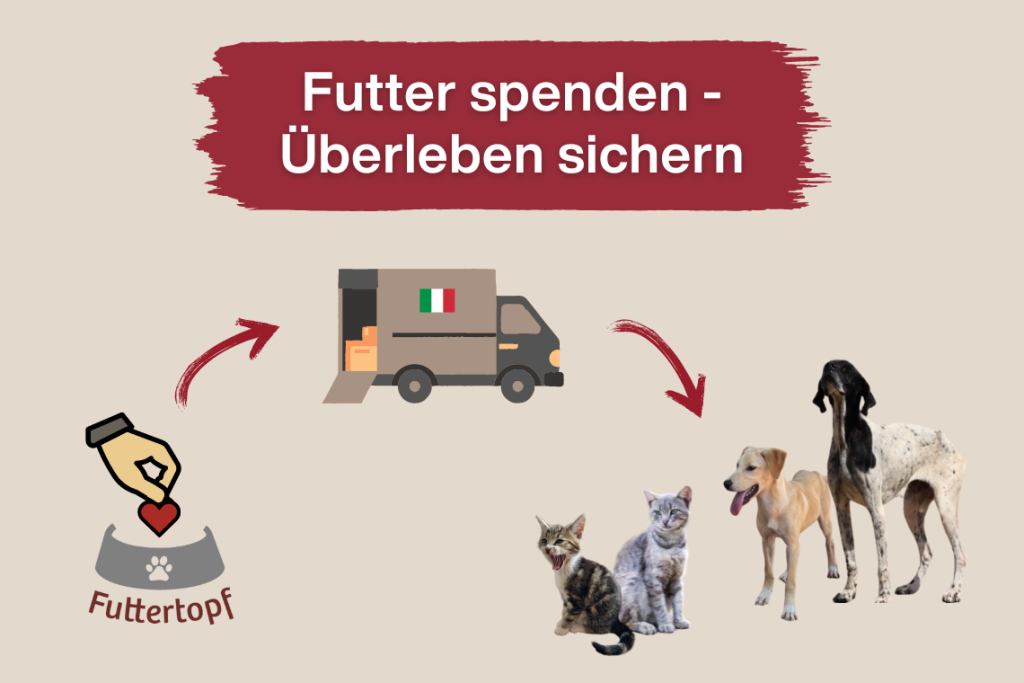 Futtertopf – Bitte helft uns den nächsten Lkw zu füllen!