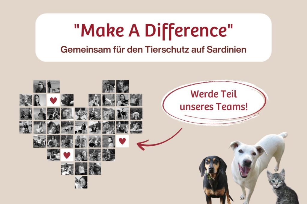 “Make a Difference” – Gemeinsam für den Tierschutz