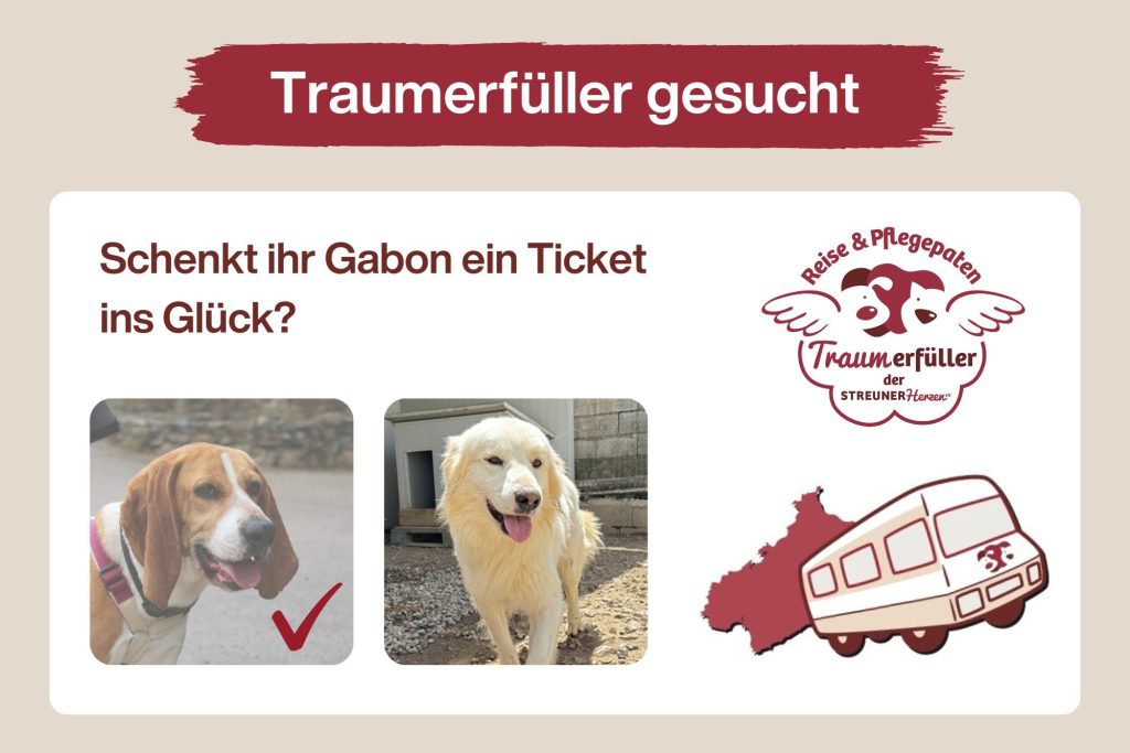 Gabon – Wer schenkt ihm ein Ticket ins Glück? ♡