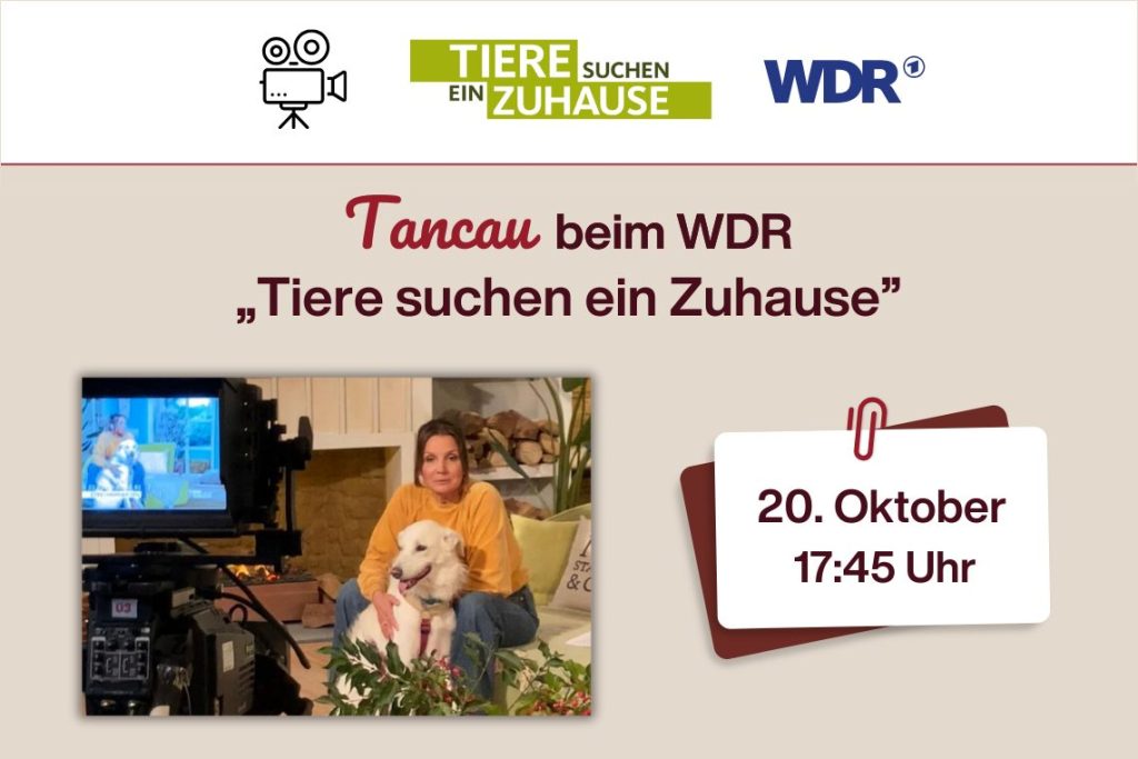 Tancau beim WDR “Tiere suchen ein Zuhause”