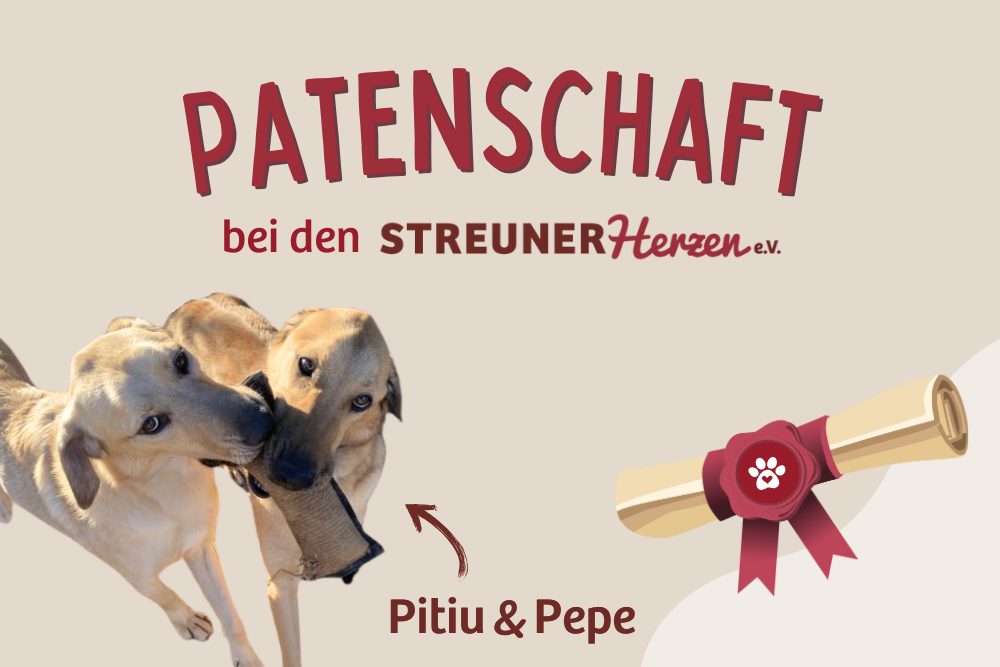 Pepe & Pitiu – Wir suchen den ersten PatEN!