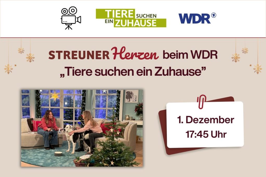 STREUNERHerzen beim WDR “Tiere suchen ein Zuhause”