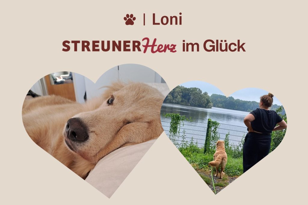 Loni – Münzwurf ins Glück… Und ihre Geschwister?