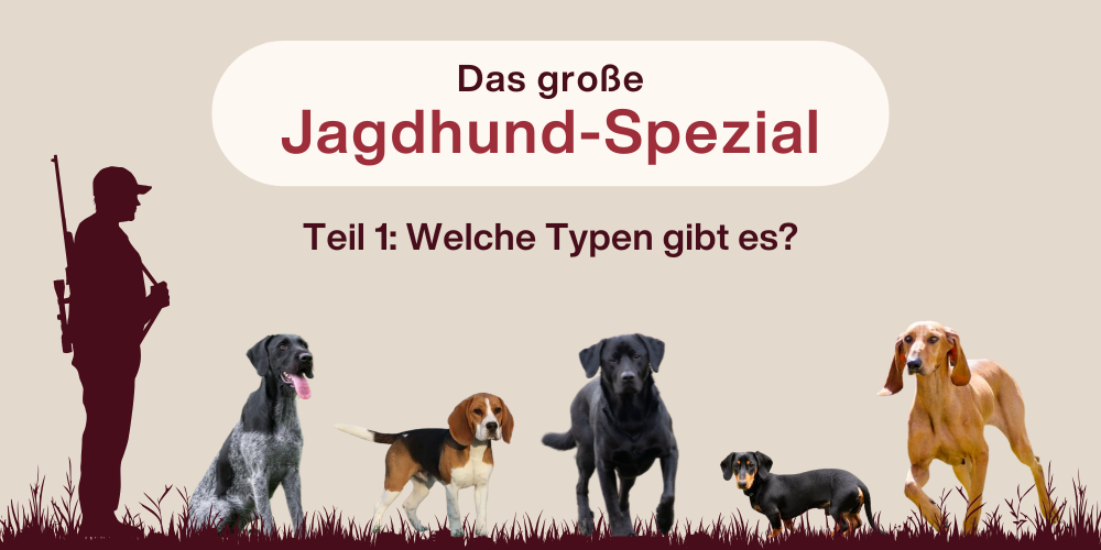 Das große Jagdhund-Spezial – Teil 1