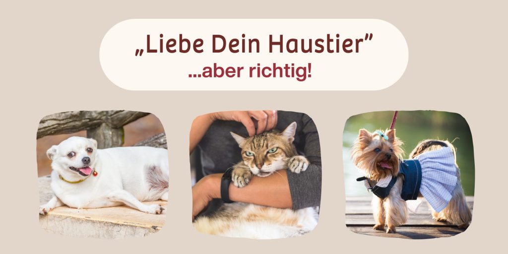 “Liebe-Dein-Haustier”-Tag