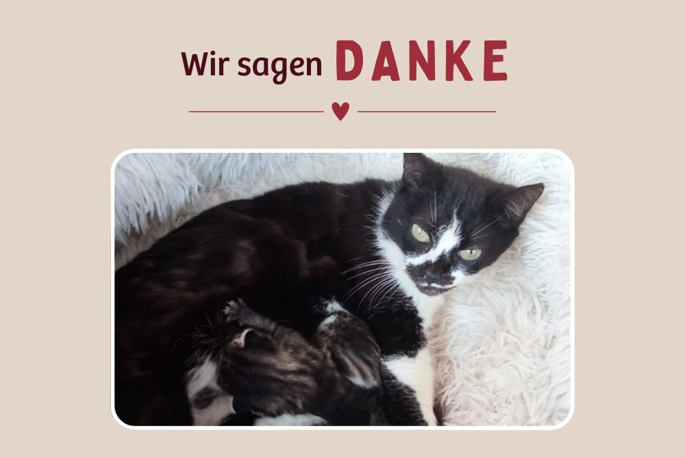 Ein guter Abschluss für den Notruf aus dem Norden