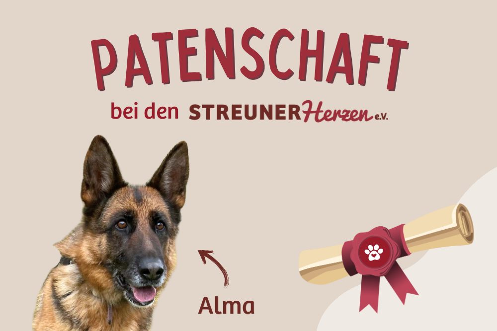 Alma – Hilfst du mir, meine Zukunft zu sichern?