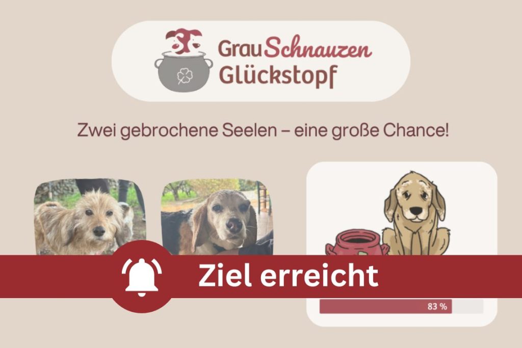 Camilla & Perla brauchen den Grauschnauzen Glückstopf