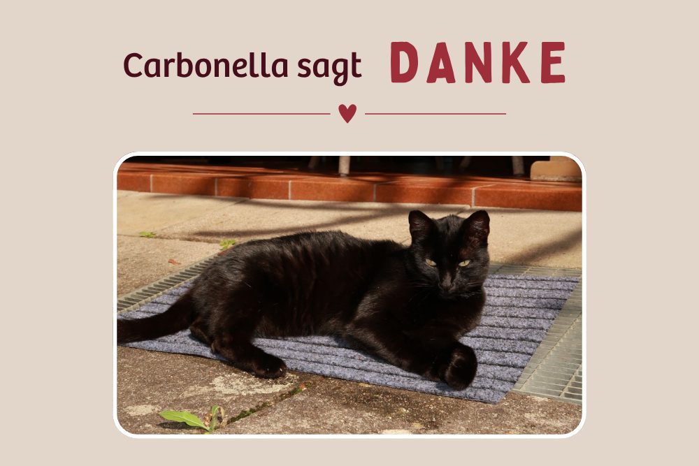 Carbonella – Doppeltes Happy-End