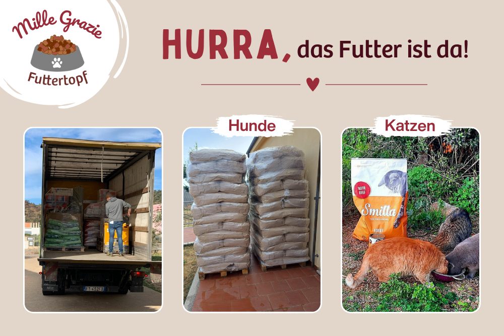 Hurra – der volle Napf ist wieder gesichert!