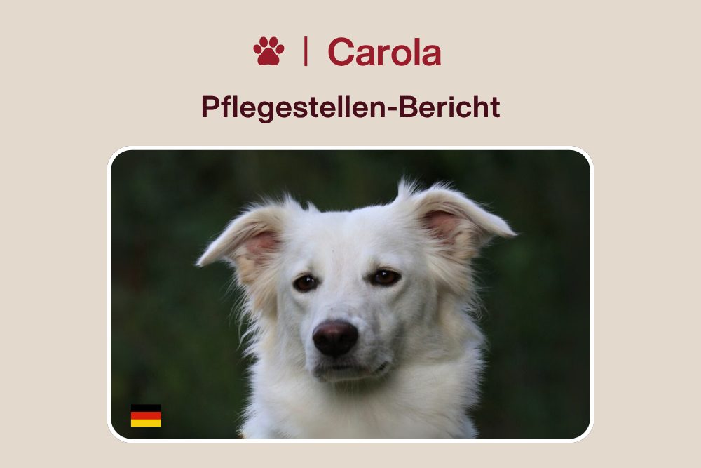 Carola – In Siebenmeilenstiefeln vom Notfall zum Wunderkind
