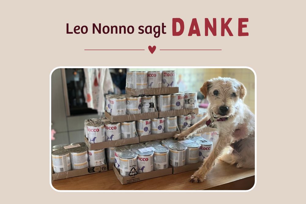 Leo Nonno – Ein Dankesbrief mit Schwanzwedeln