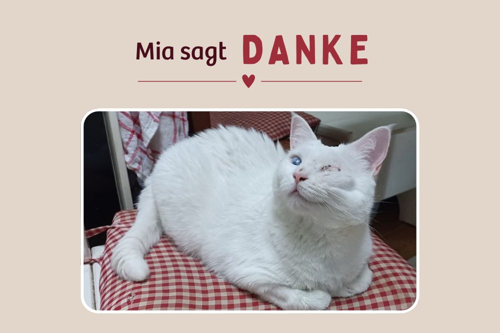 Mia – Dem Schneeflöckchen geht es wieder deutlich besser
