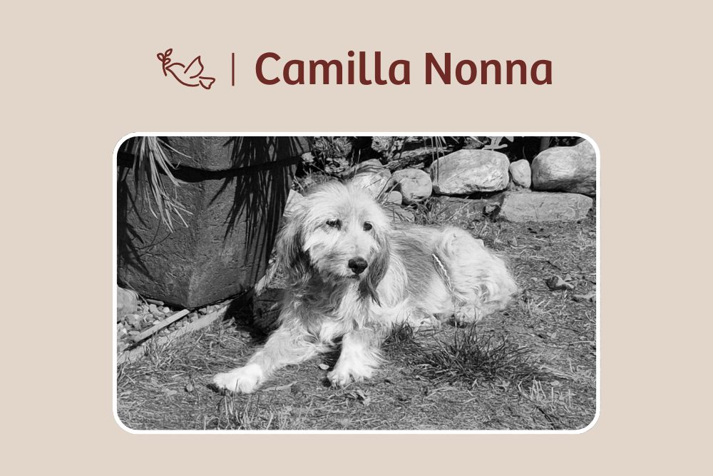 Camilla Nonna – Abschied von einer Seele, die tief berührte