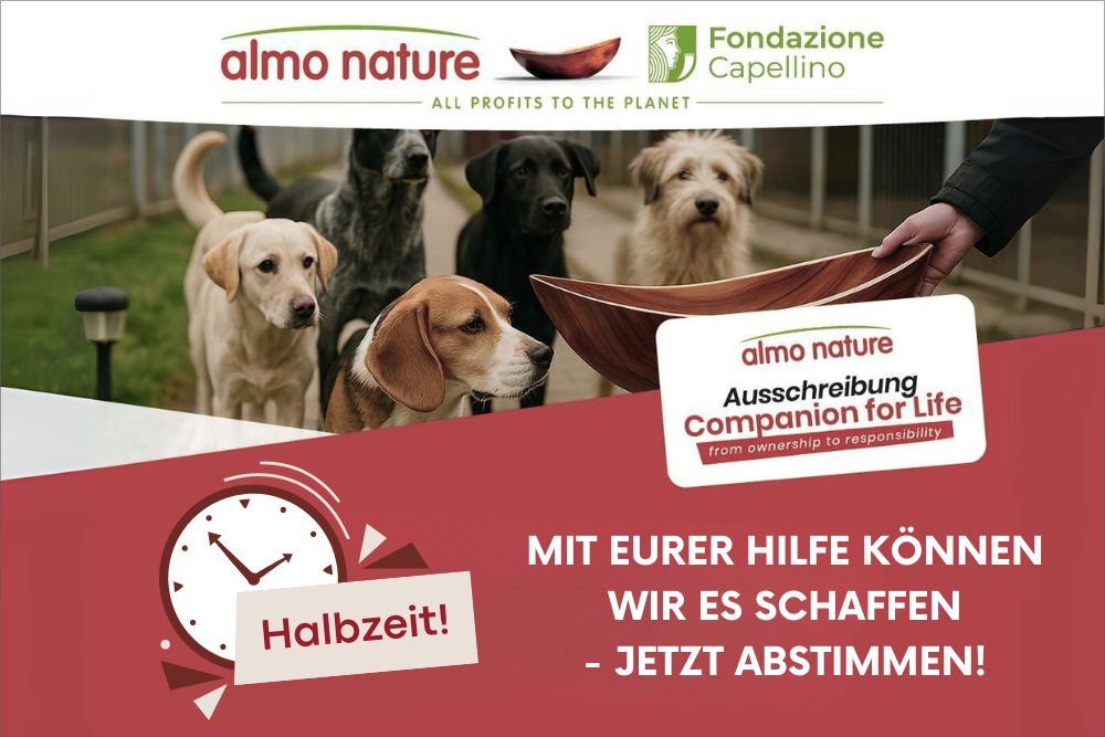 Halbzeit – jetzt brauchen wir deine Unterstützung!