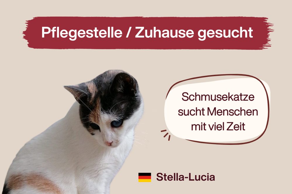 Stella-Lucia – Auf der Suche nach Liebe und Geborgenheit