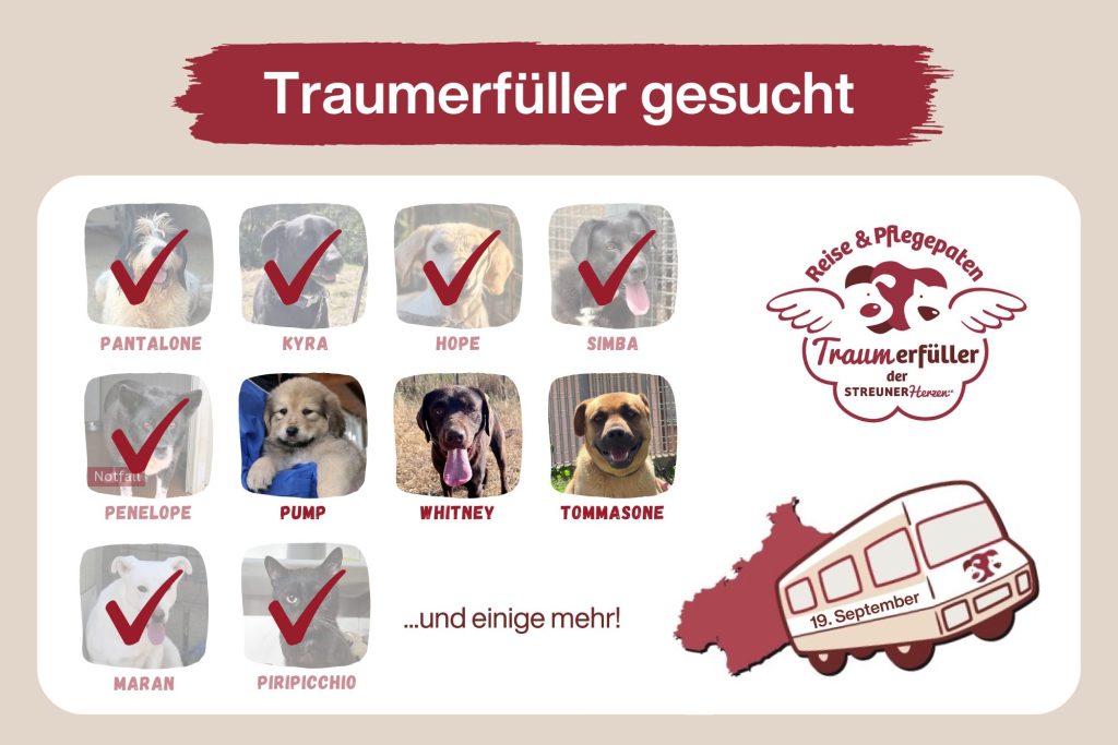 Werde Traumerfüller und ermögliche die Reise ins Glück ♡