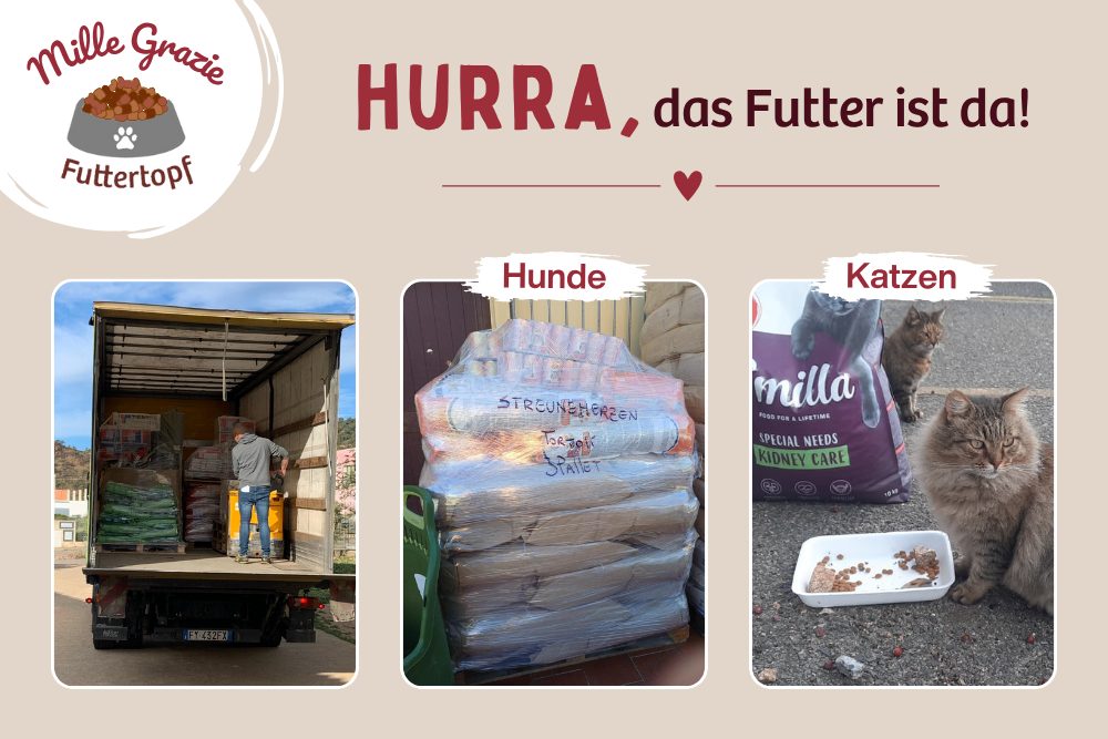 Hurra – die vollen Näpfe sind gesichert!