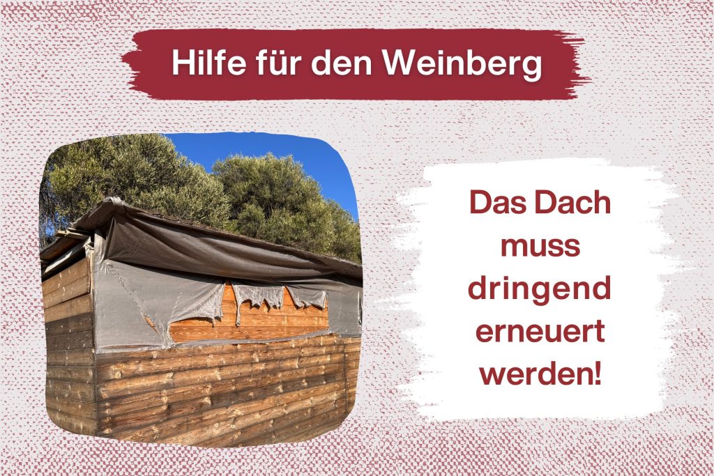 Spendenaufruf – Ein neues Dach für unseren Weinberg