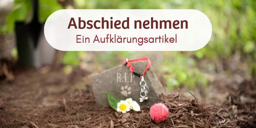 Abschied nehmen: Ein Aufklärungsartikel über den Tod eines Haustieres