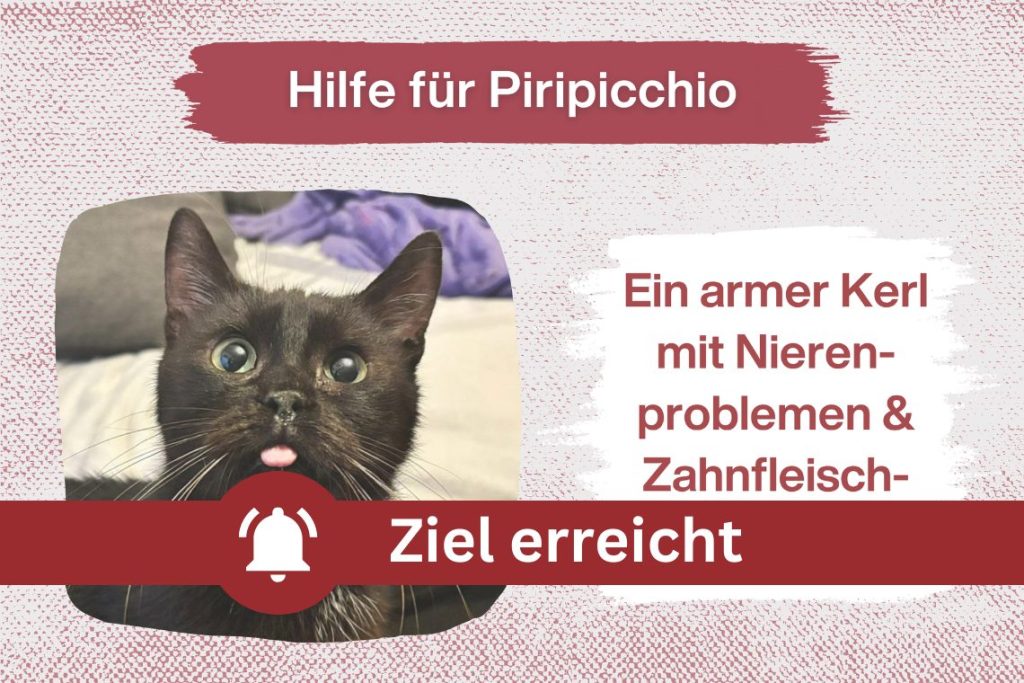 Piripicchio – Ein kleiner Kämpfer braucht unsere Hilfe!