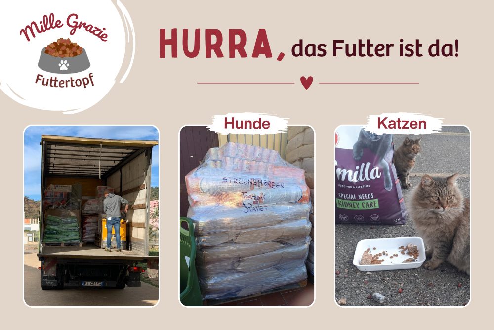 Hurra – die vollen Näpfe sind gesichert!