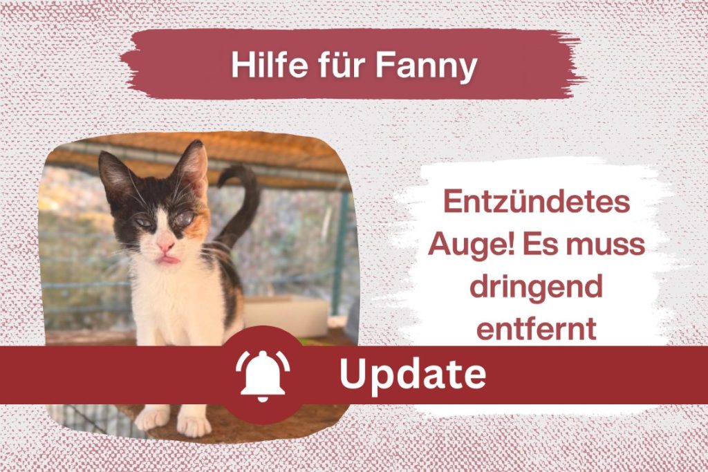 Fanny – Erlöst sie von ihren Schmerzen!
