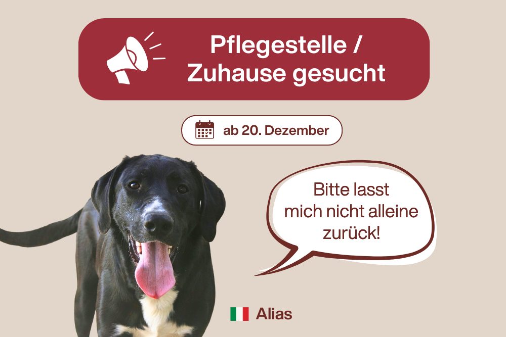 Alias – Ein junger Abenteurer sucht sein erstes eigenes Kapitel