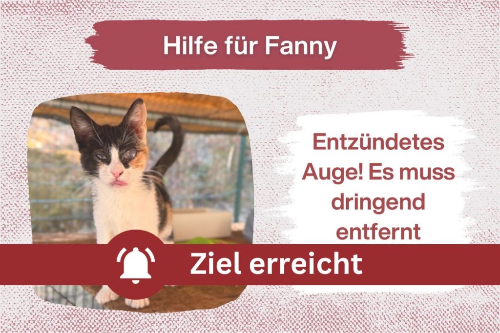 Fanny – Erlöst sie von ihren Schmerzen!