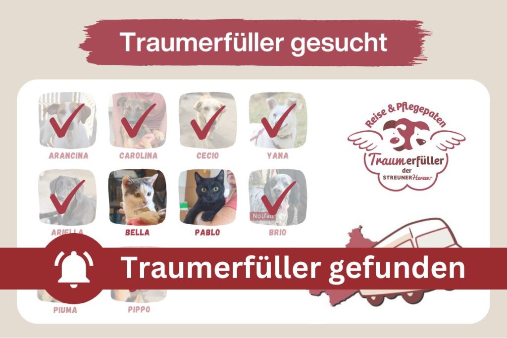 Werde Traumerfüller und ermögliche die Reise ins Glück ♡