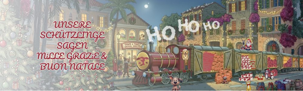 Ein Adventszug voller Wunderpakete