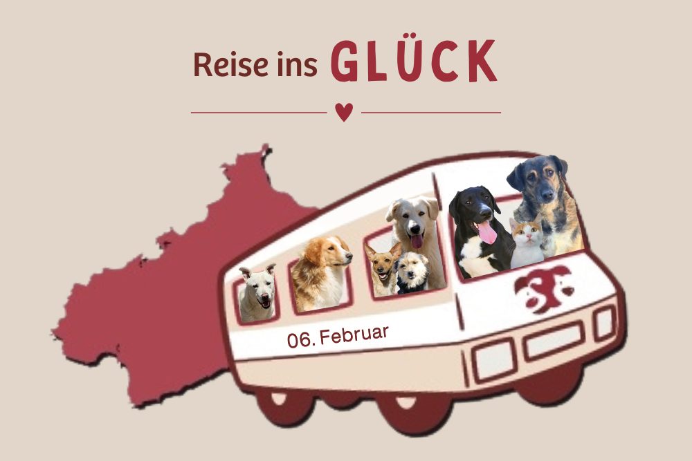 Wir verlassen das Tierheim am 06. Februar