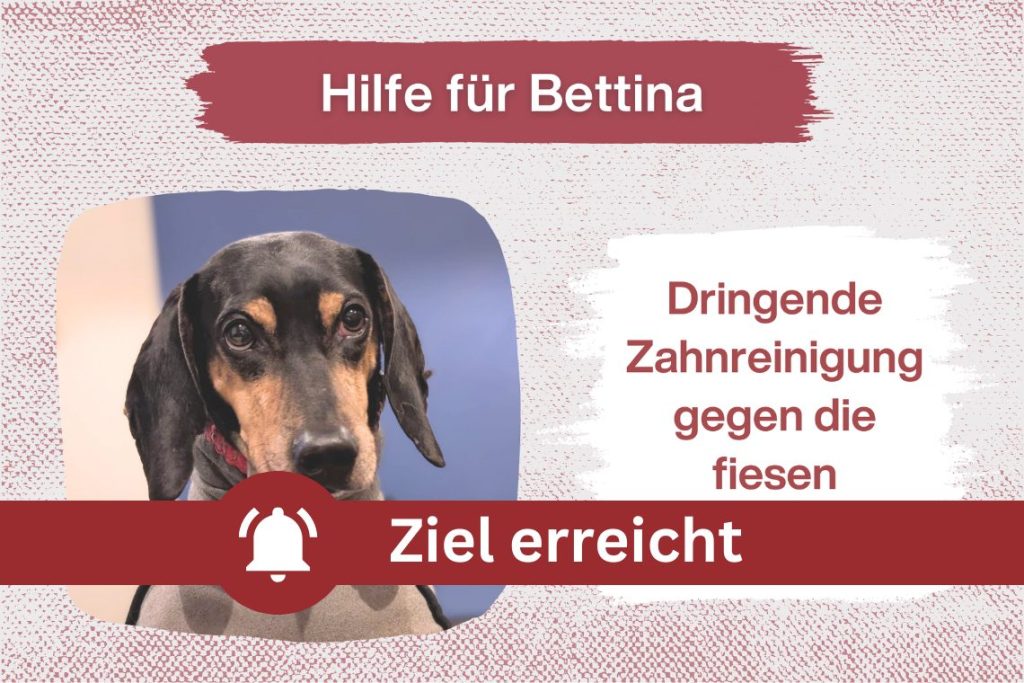 Dringender Spendenaufruf für Bettina – sie braucht uns jetzt