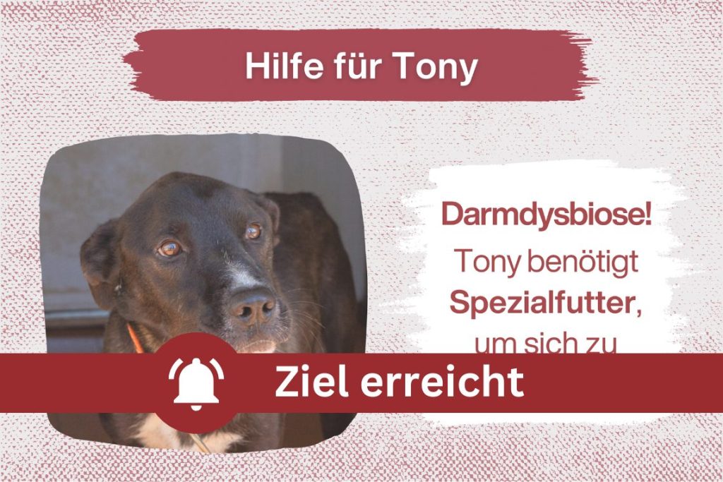 SOS für Tony: Dringend Spezialfutter benötigt!