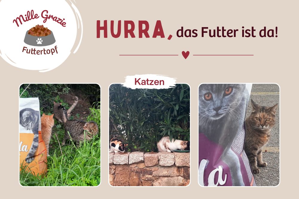 Hurra – Das Futter ist endlich da!