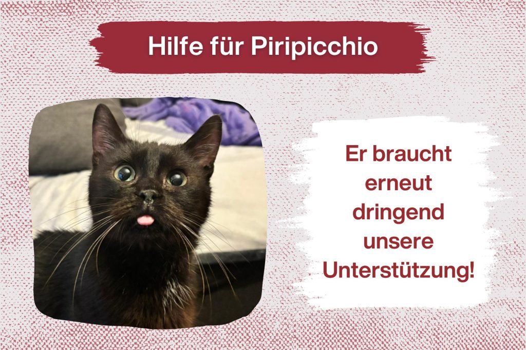 Eine große Liebe, ein kleiner Rückschlag und neue Hoffnung