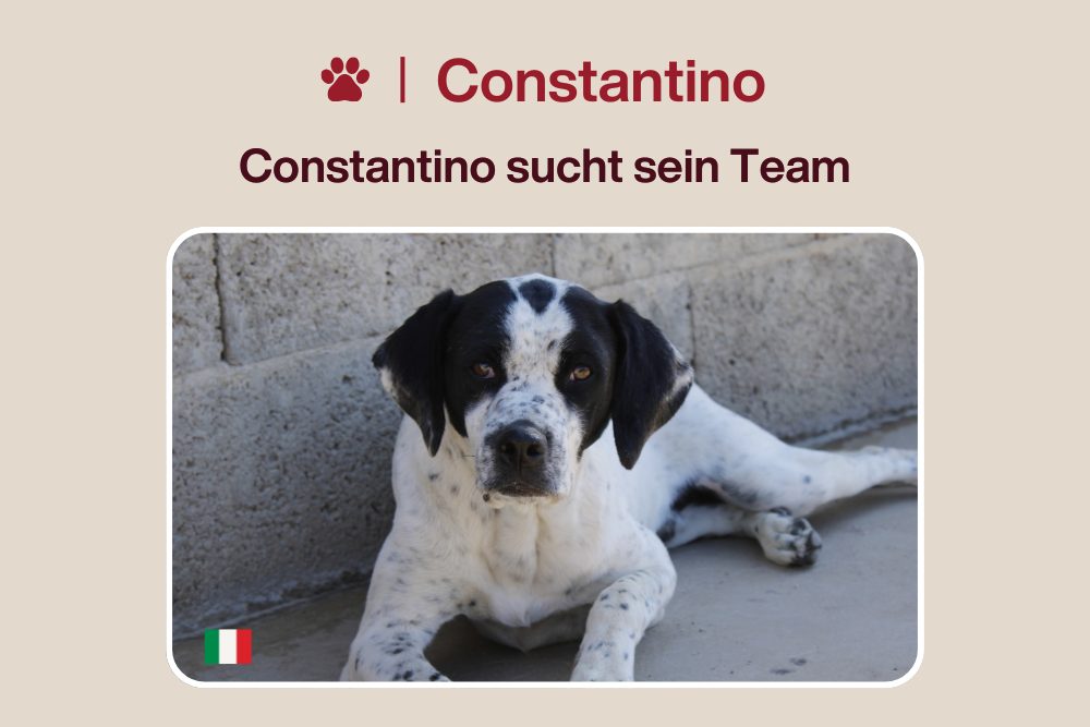 Von Sardinien aufs Siegertreppchen seines Lebens