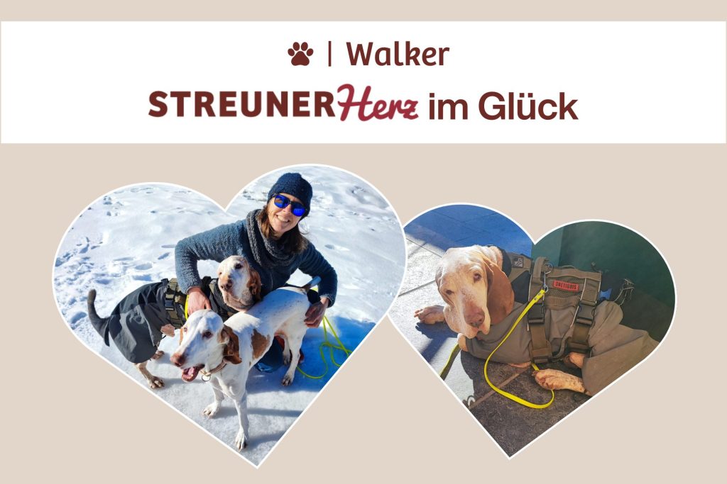 Walker: Der lange Weg nach Hause