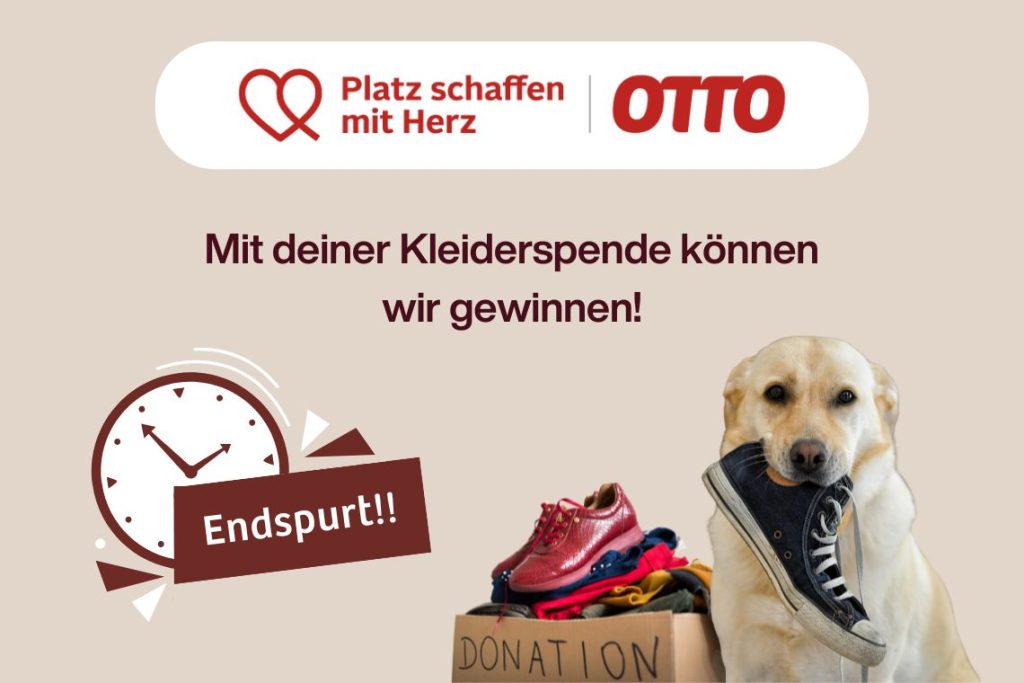 „Platz schaffen mit Herz“ – Endspurt!!
