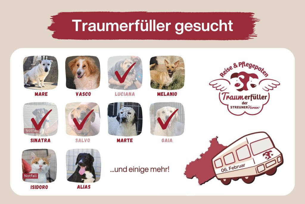 Werde Traumerfüller und ermögliche die Reise ins Glück ♡