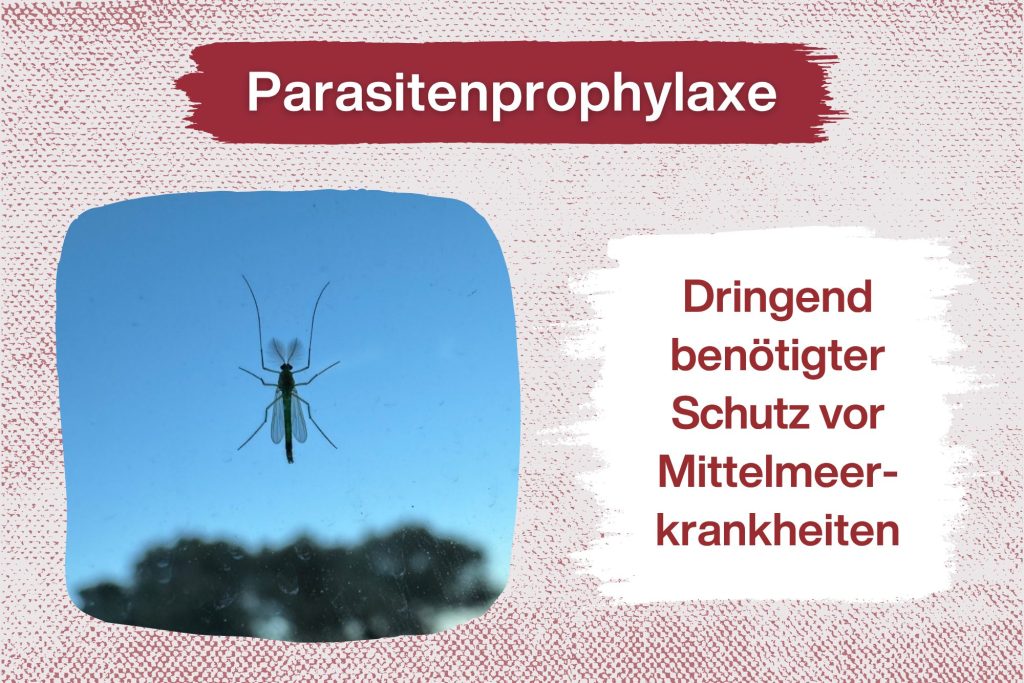 Parasitenprophylaxe für unsere Hunde auf Sardinien