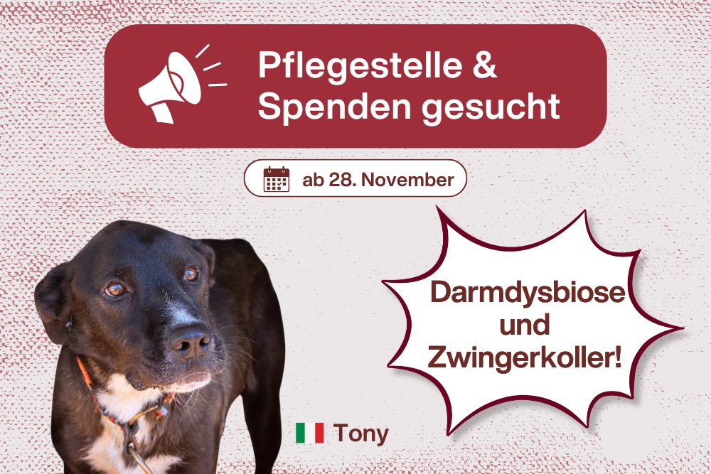 Tony – Sein Spezialfutter geht zur Neige!