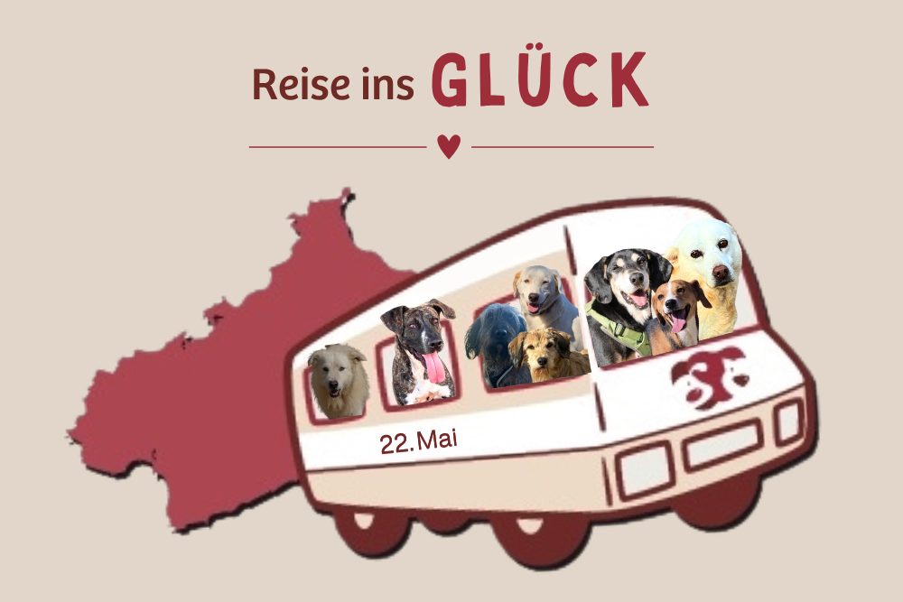 Wir verlassen das Tierheim am 22. Mai