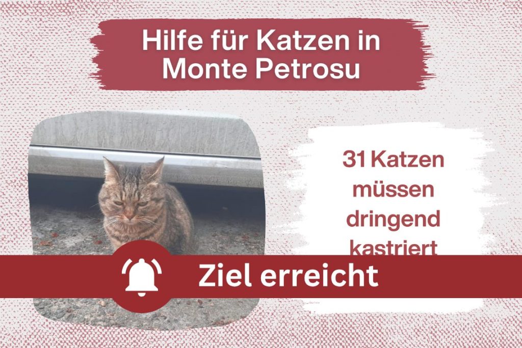 Update – 31 Katzen können nun kastriert werden